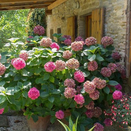 לינה וארוחת בוקר Casa La Valle, Gubbio, Frazione Santa Cristina מראה חיצוני תמונה