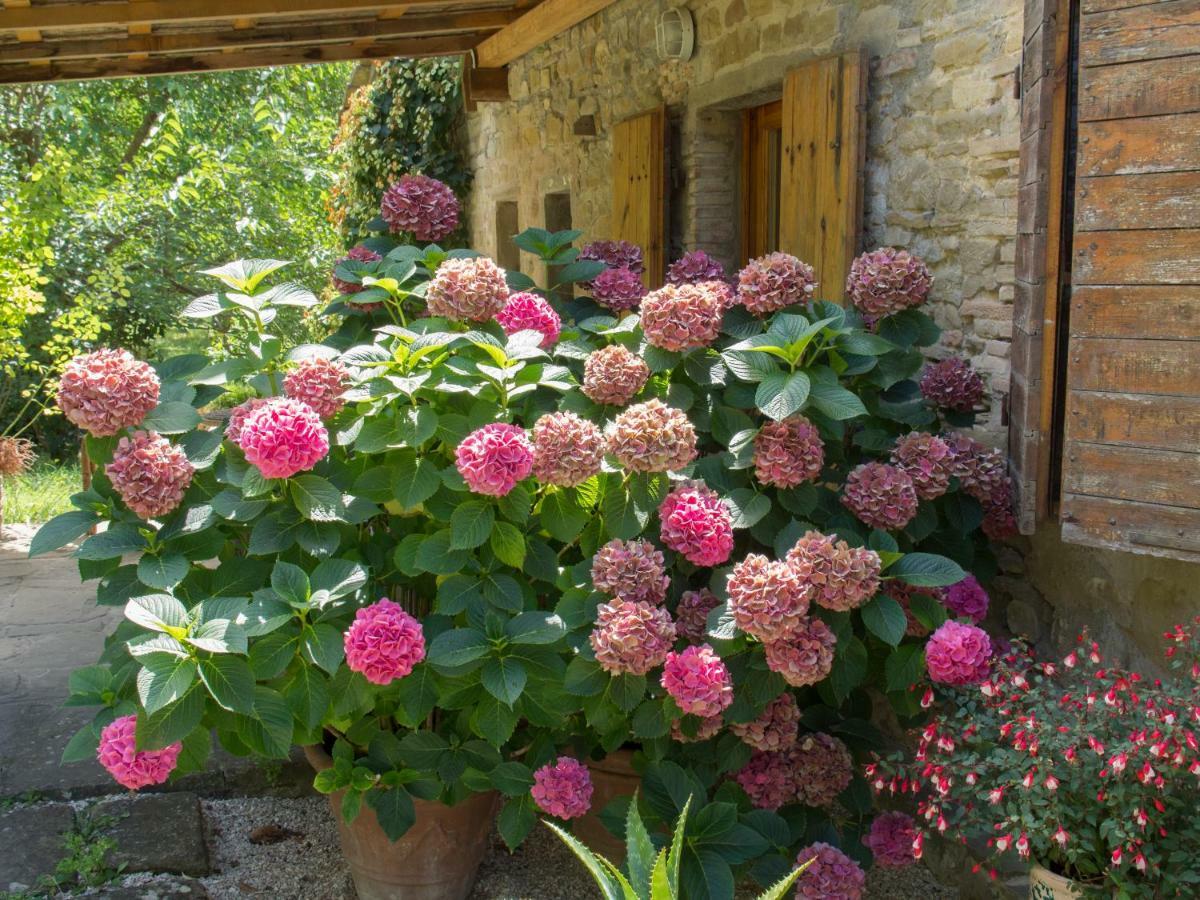 לינה וארוחת בוקר Casa La Valle, Gubbio, Frazione Santa Cristina מראה חיצוני תמונה